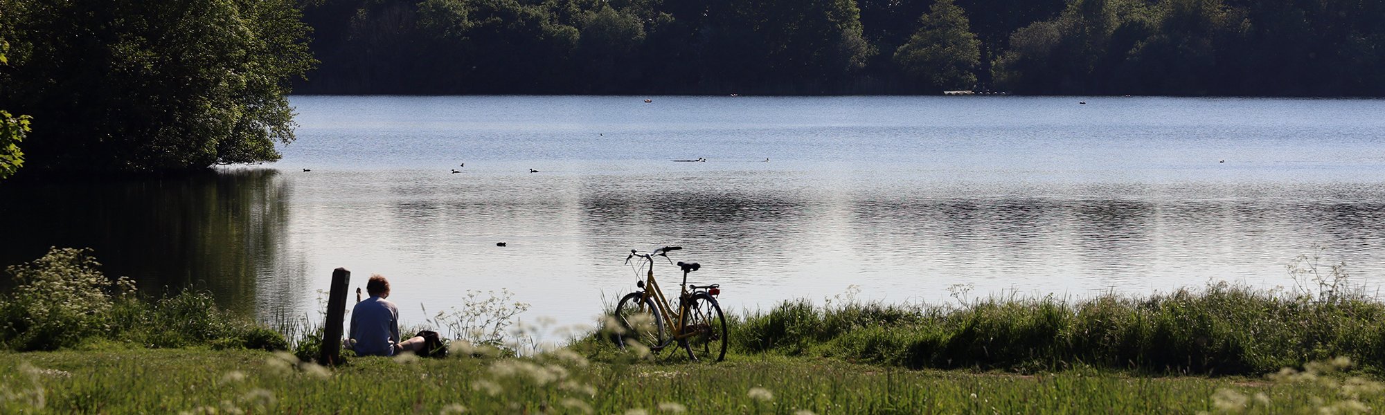 De Gavers - Harelbeke.jpg 